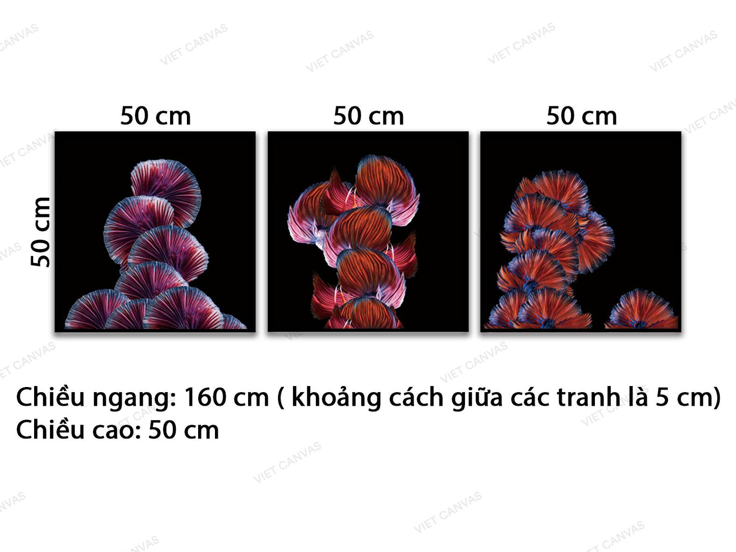Bộ 3 Tranh Trừu Tượng Bùng Nổ - VC875