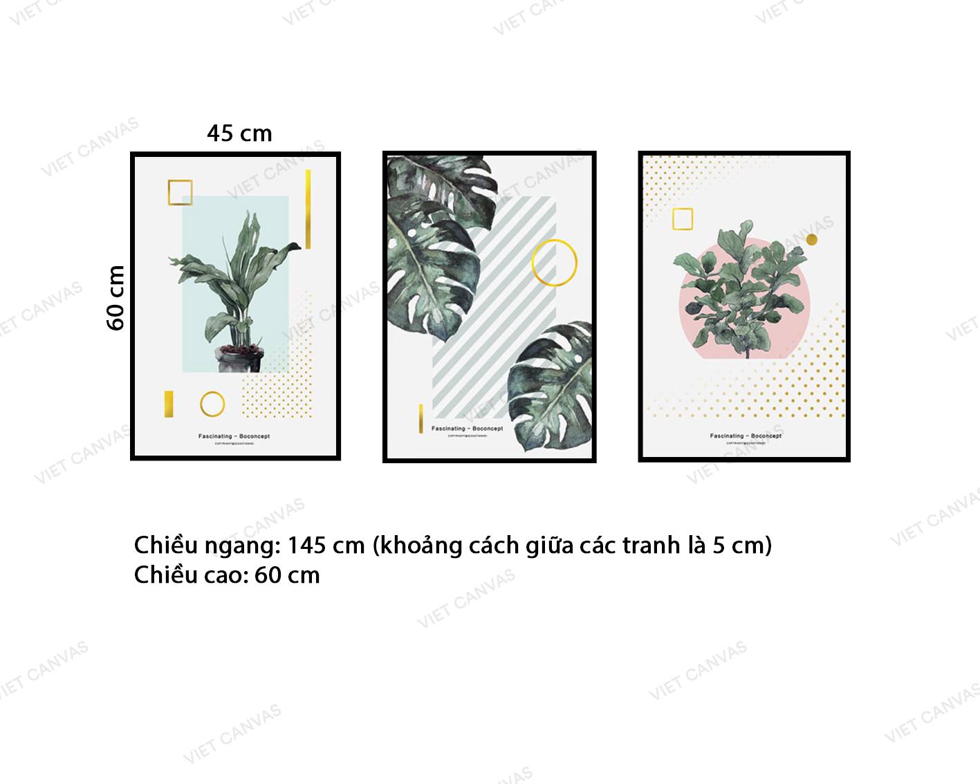 Bộ 3 Tranh Cành Lá Xanh - VZ036.2