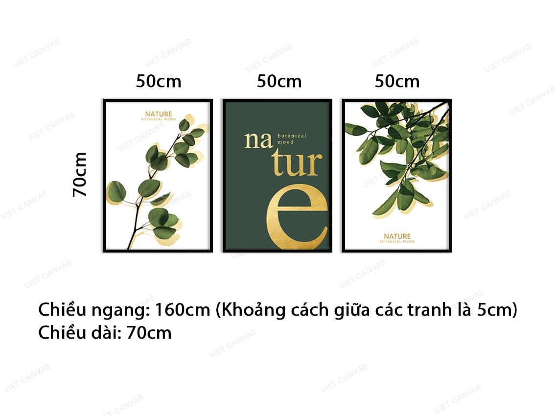 Bộ 3 Tranh Lá Cây Thiên Nhiên - VZ065.3