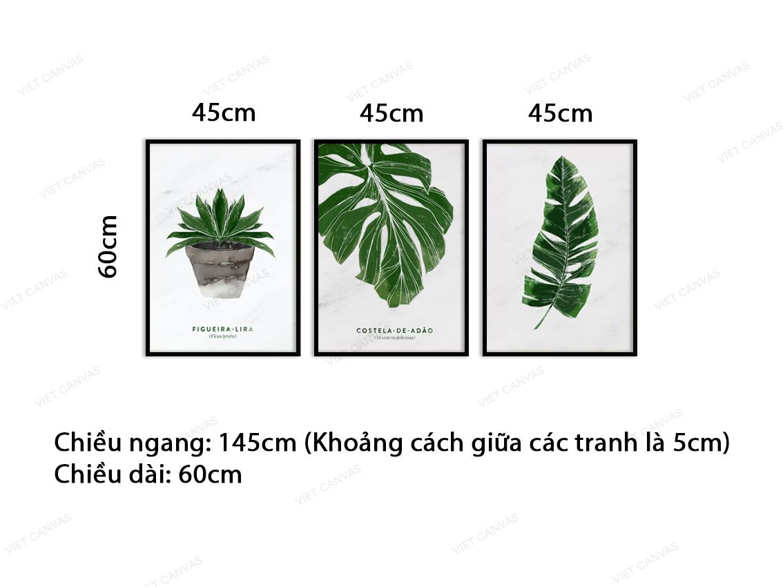 Bộ 3 Tranh Cây Xanh Tươi Mát - VZ066.3