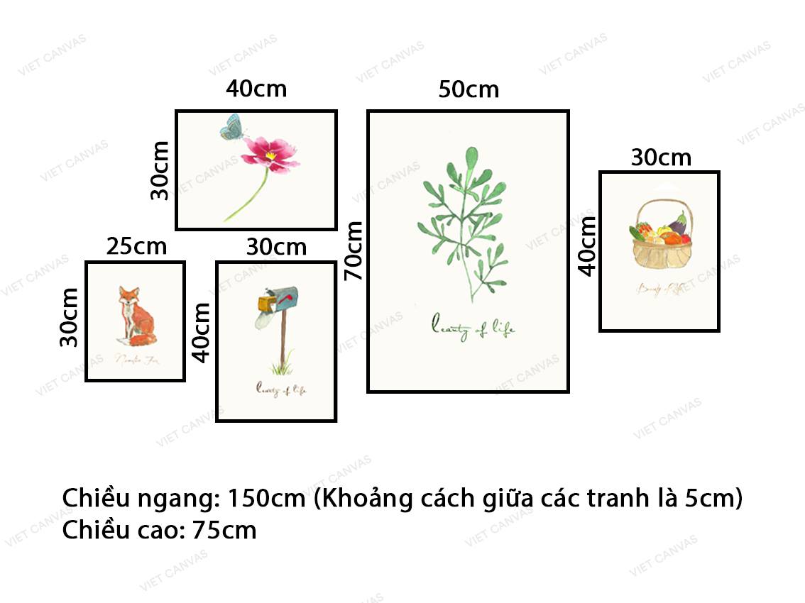 Bộ 5 Tranh Cáo, Giỏ Trái Cây, Lá, Hoa, Hộp Thư - VZ098