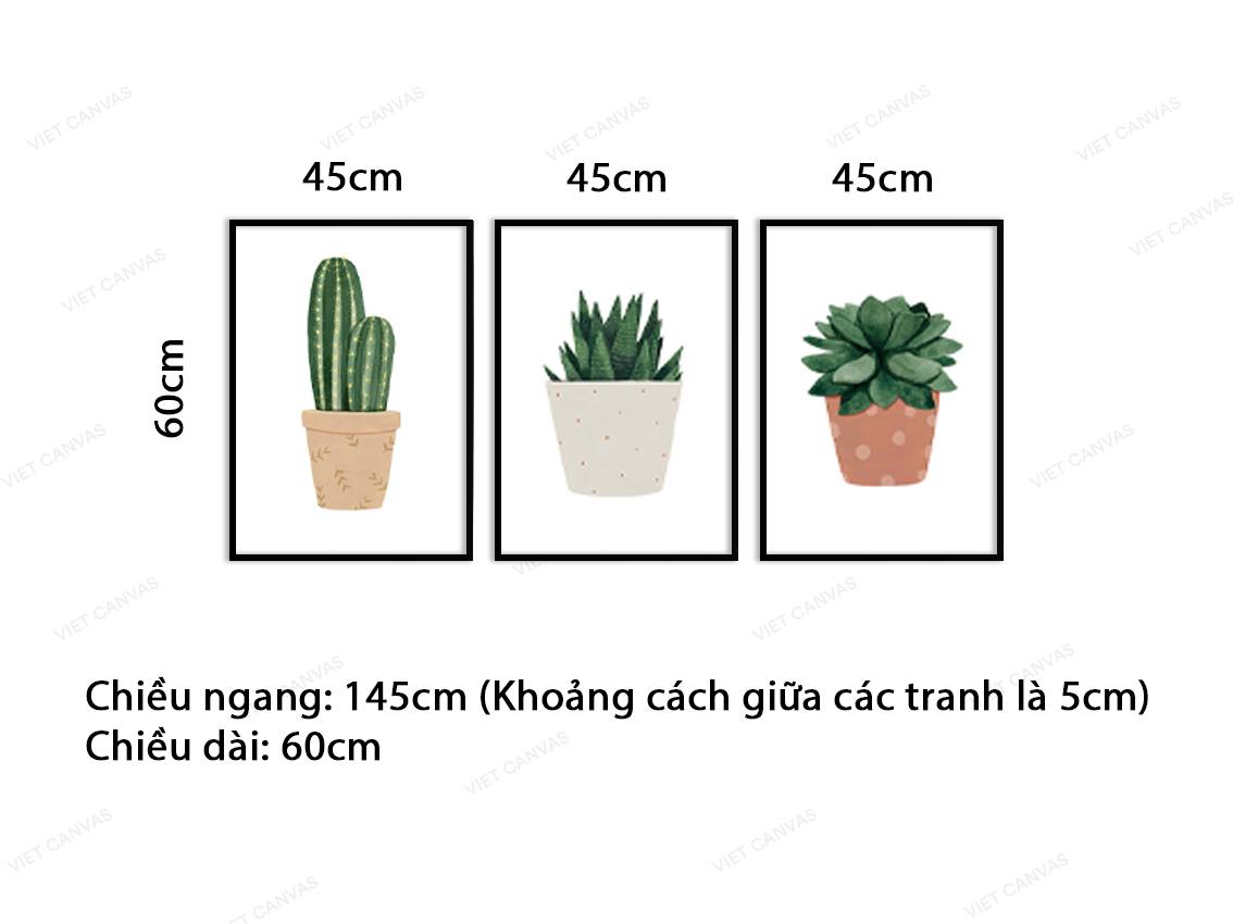 Bộ 3 Tranh Xương Rồng Và Sen Đá - VZ050.3