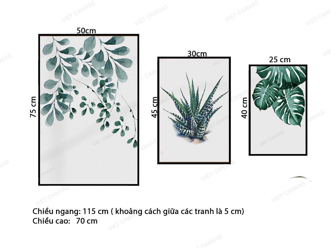Bộ 3 Tranh Lá Cây Đa Dạng - VZ002.3