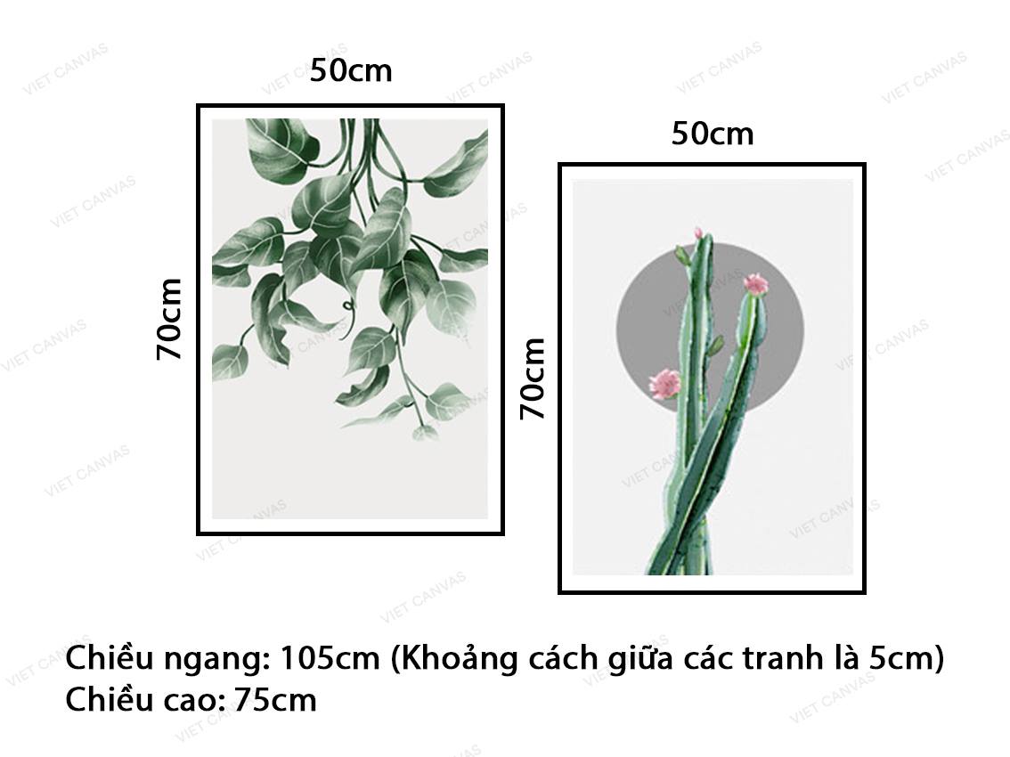 Bộ 2 Tranh Vẻ Đẹp Của Lá Cây Và Xương Rồng - VZ068.3