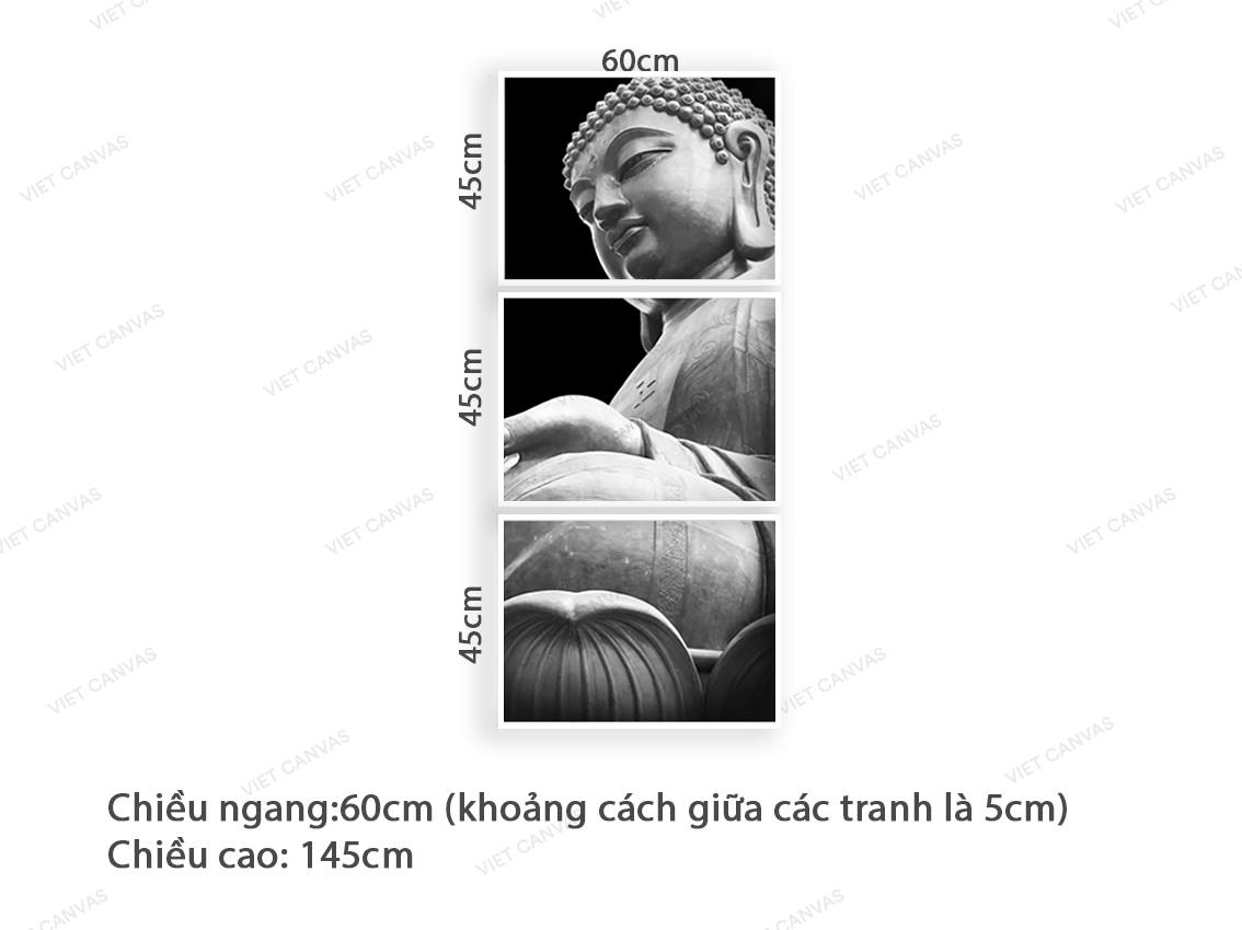 Bộ 3 Tranh Phật Thích Ca - VZ171