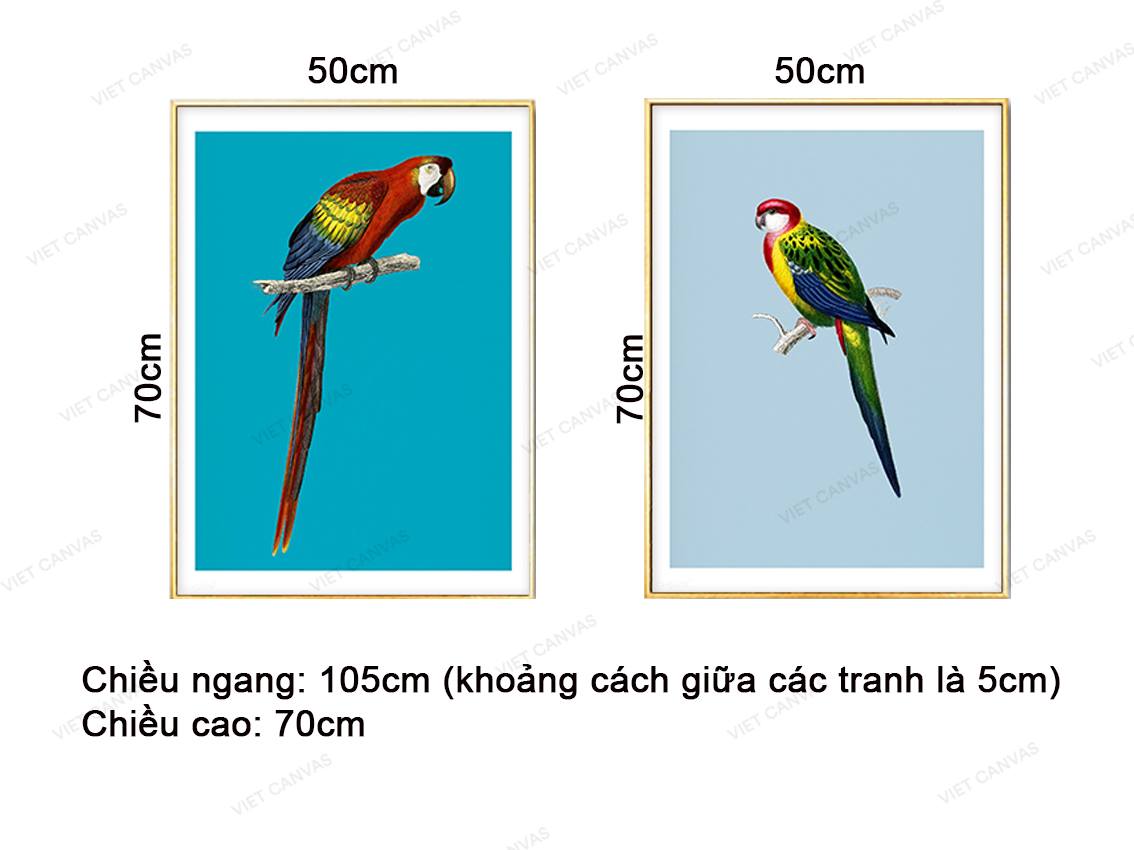 Bộ 2 Tranh Hai Chú Vẹt - VZ048.3