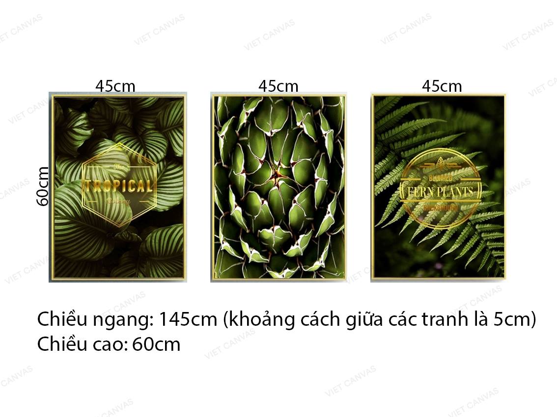 Bộ 3 Tranh Màu Xanh Cây Cối Sinh Động - VZ296.2
