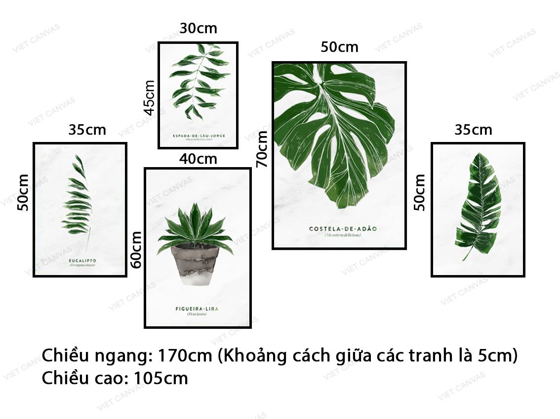 Bộ 5 Tranh Lá Cây Thiên Nhiên Đơn Giản - VZ066.2