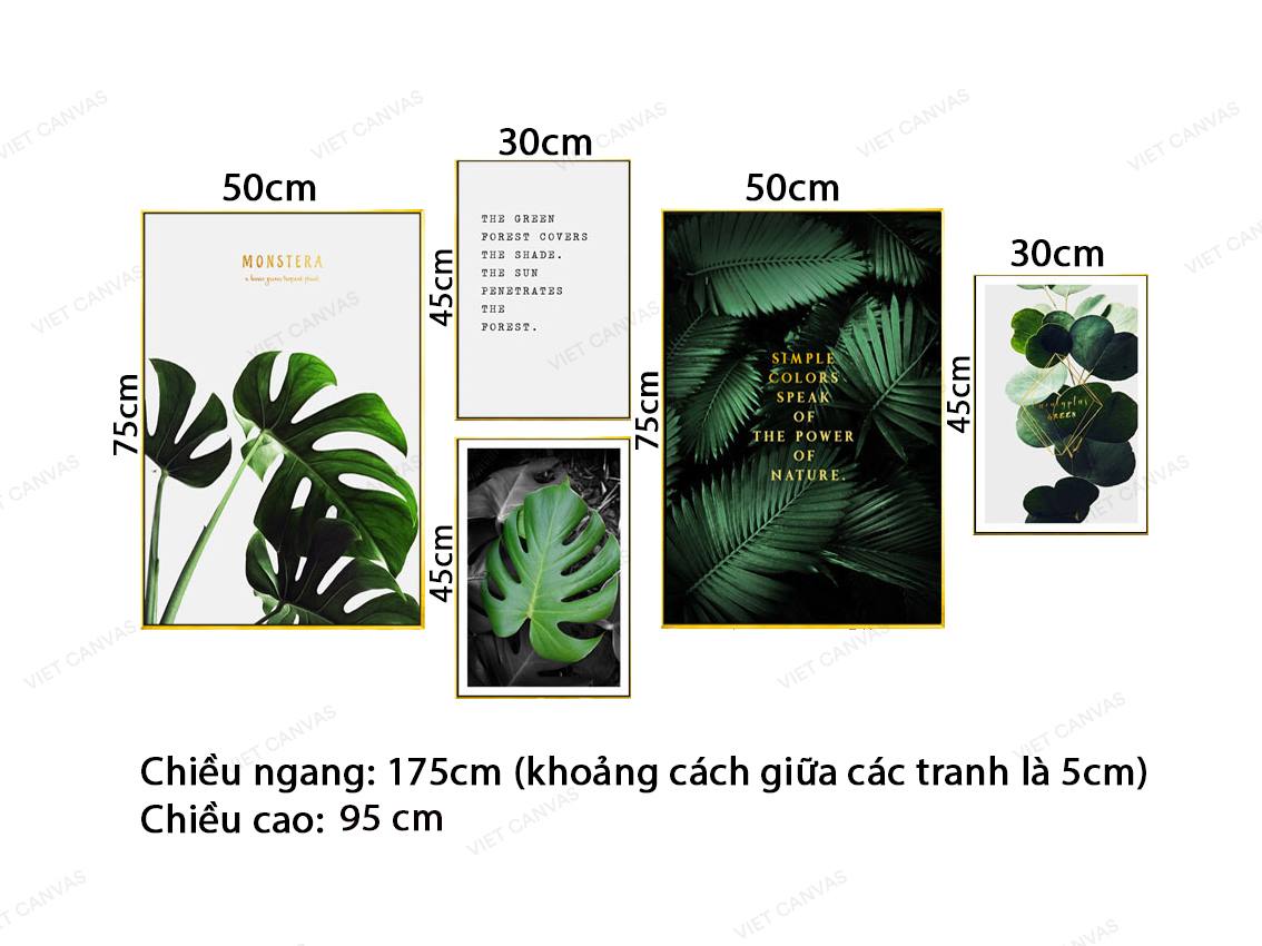 Bộ 5 Tranh Màu Xanh Đơn Giản Của Lá Cây Và Quotes - VZ088.1