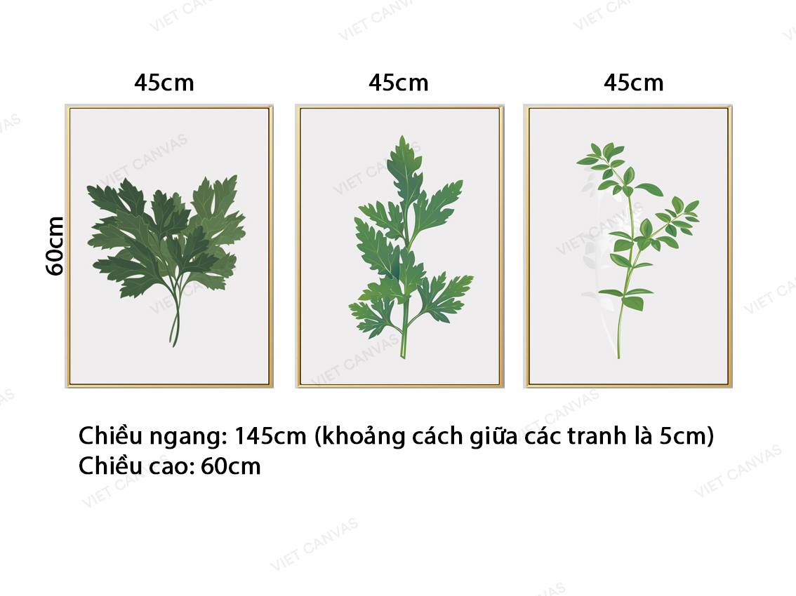 Bộ 3 Tranh Những Mẫu Cây Xanh - VZ783