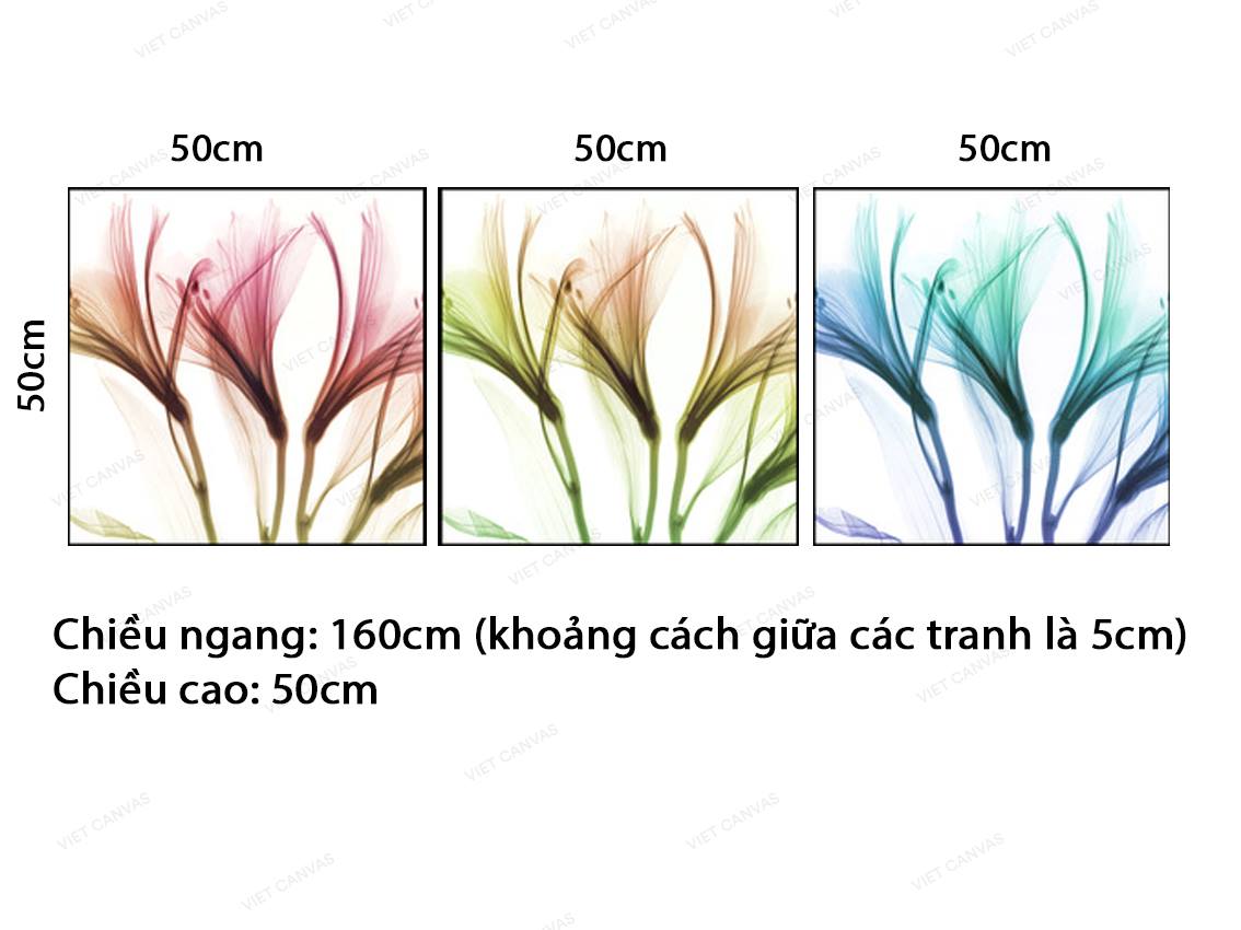 Bộ 3 Tranh Hoa Ly Sắc Màu - VZ794