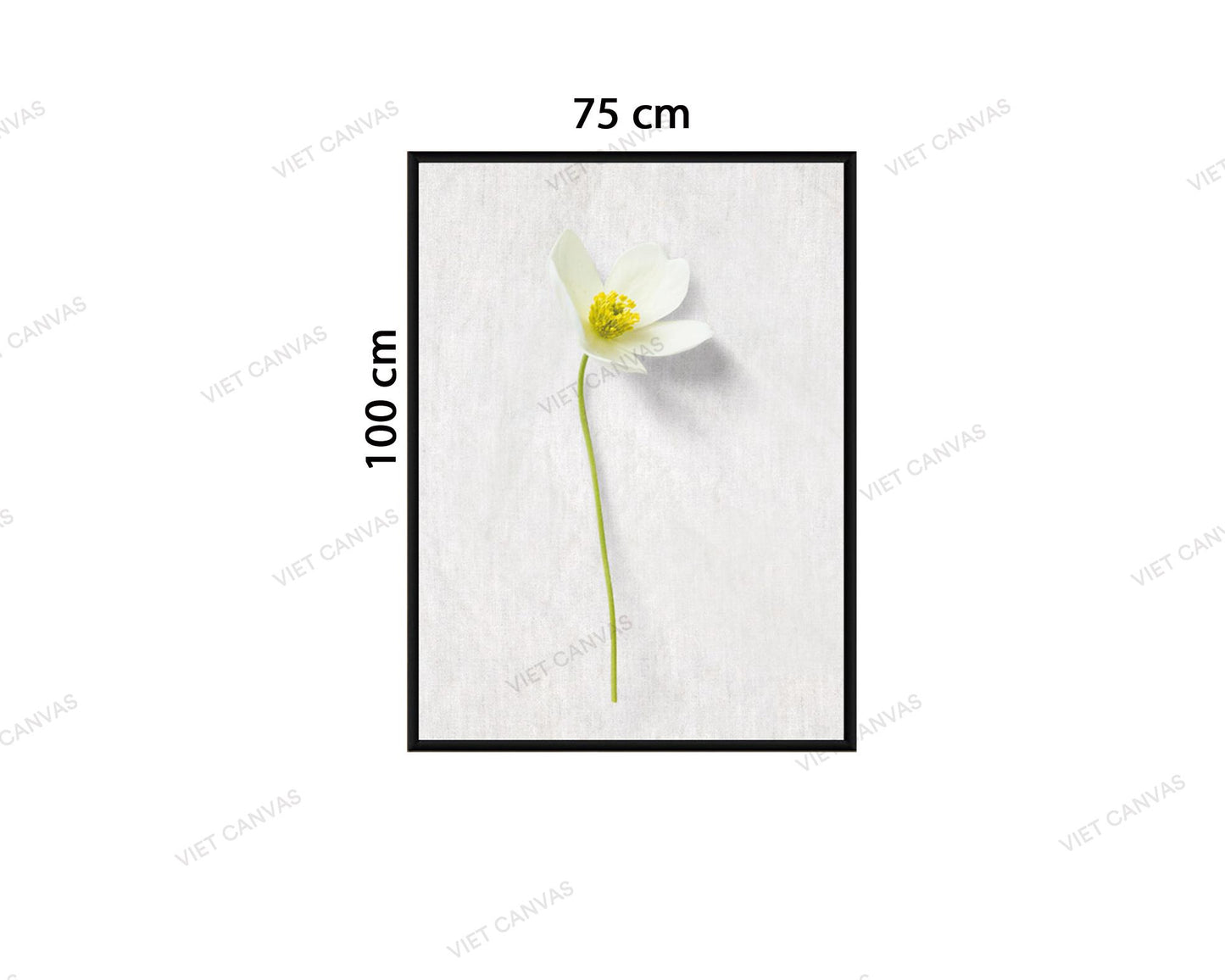 Tranh Nhành Hoa Trắng Nhẹ Nhàng - VZ613.2