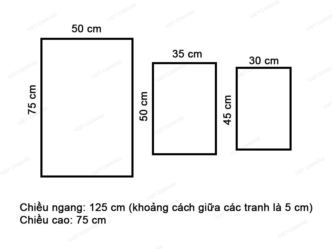 Bộ 3 Tranh Dứa Và Lá Cây Xanh - VY039.3