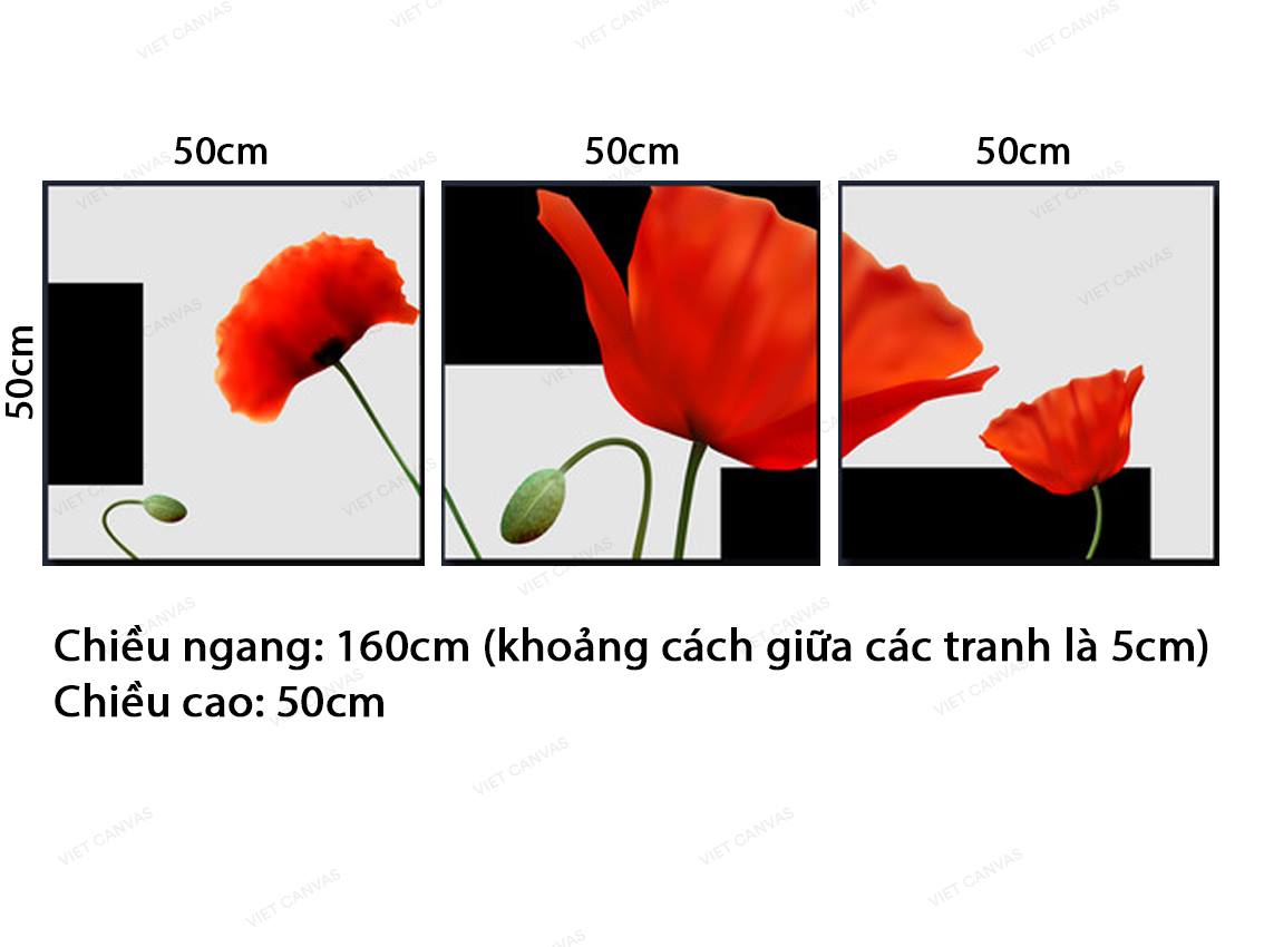 Bộ 3 Tranh Những Đóa Hoa Đỏ Rực - VZ793