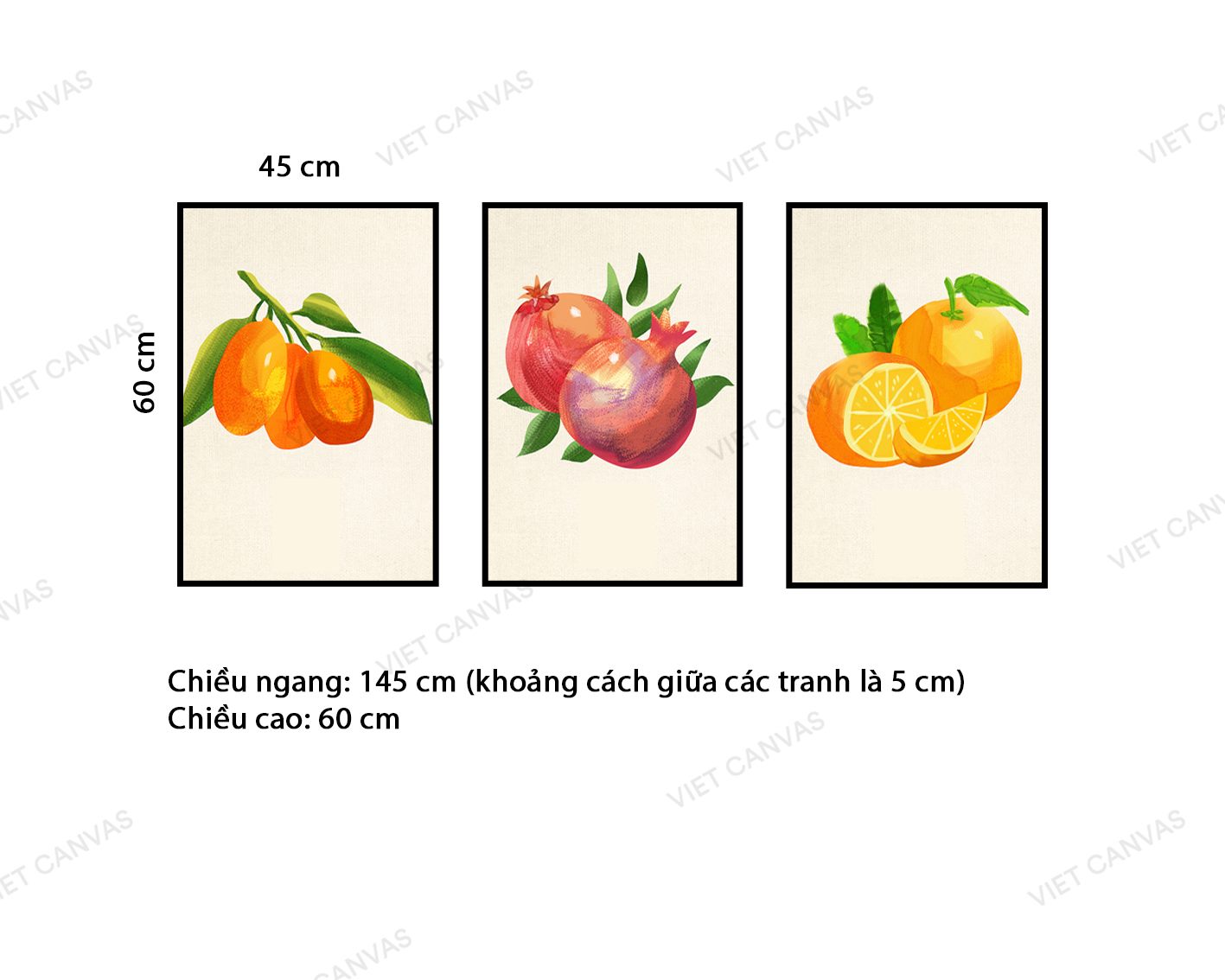 Bộ 3 Tranh Trái Cây - VZ161