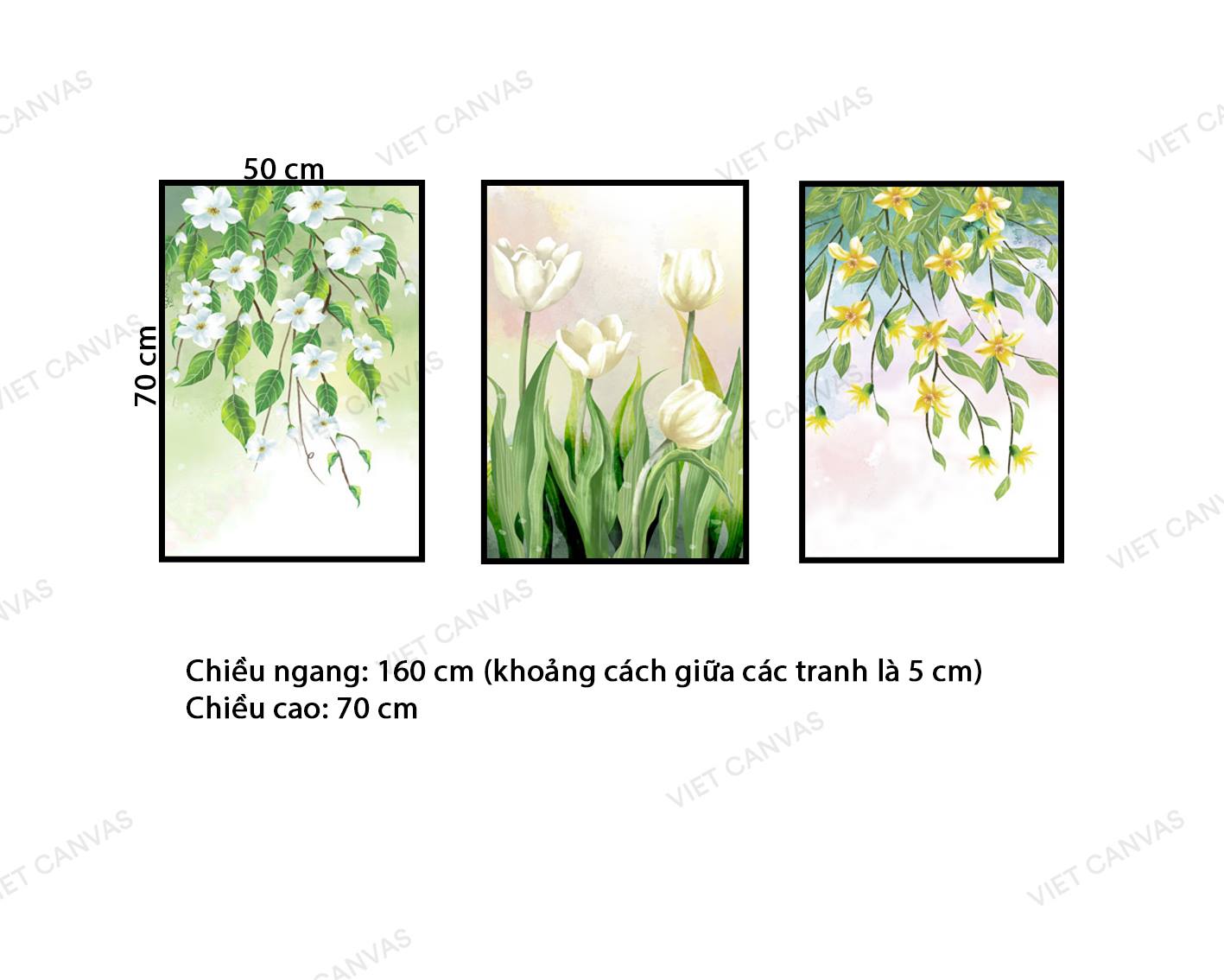 Bộ 3 Tranh Tulip Trắng - VZ603.1