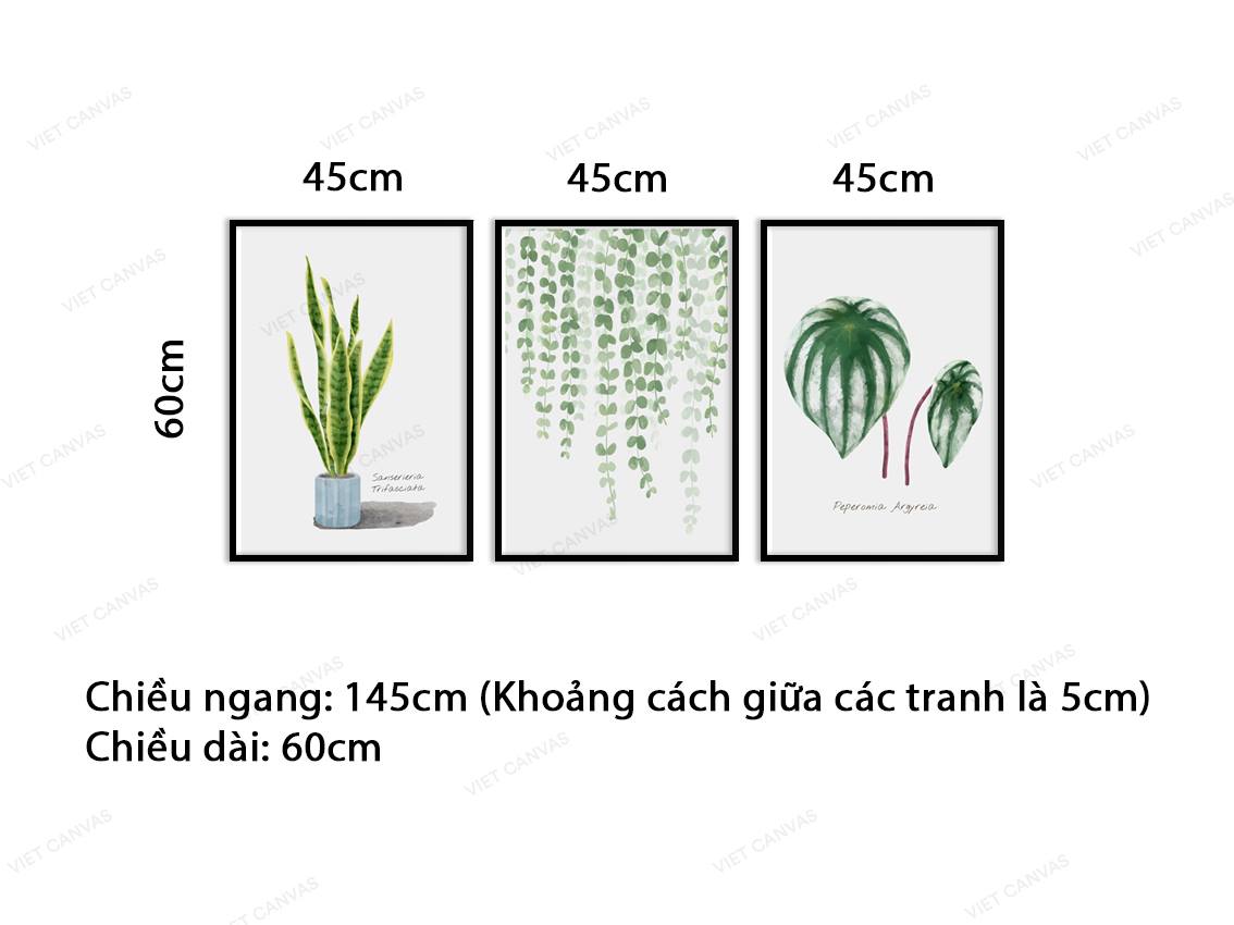 Bộ 3 Tranh Cây Và Lá Xanh - VZ054.2