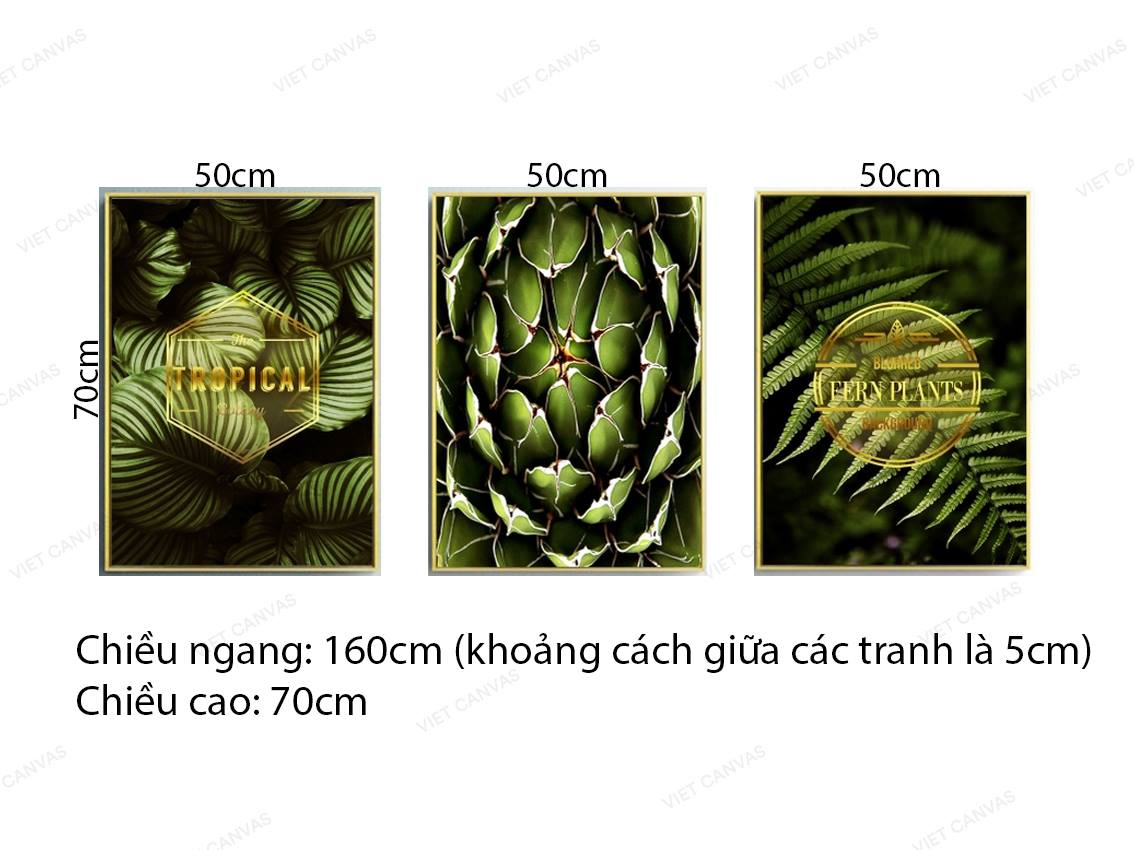 Bộ 3 Tranh Màu Xanh Cây Cối Sinh Động - VZ296.2