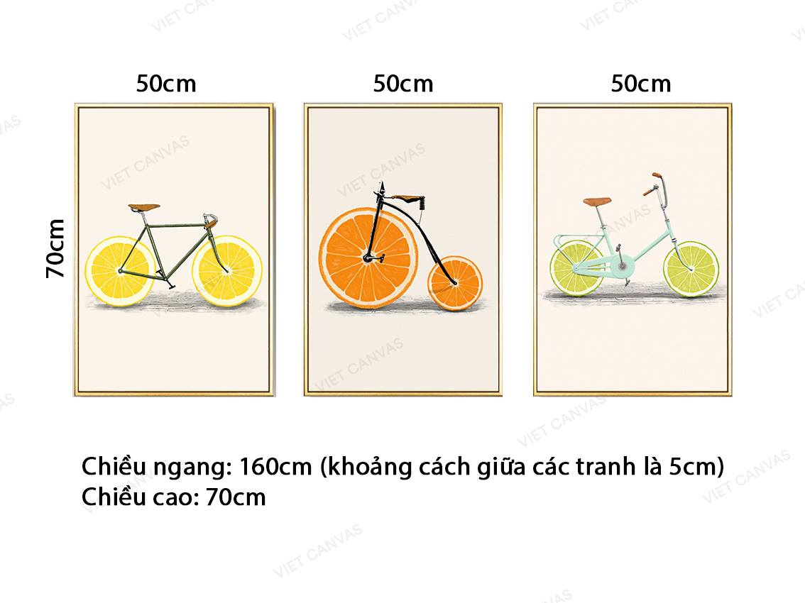 Bộ 3 Tranh Những Chiếc Xe Đạp Xinh Xắn - VZ782.1