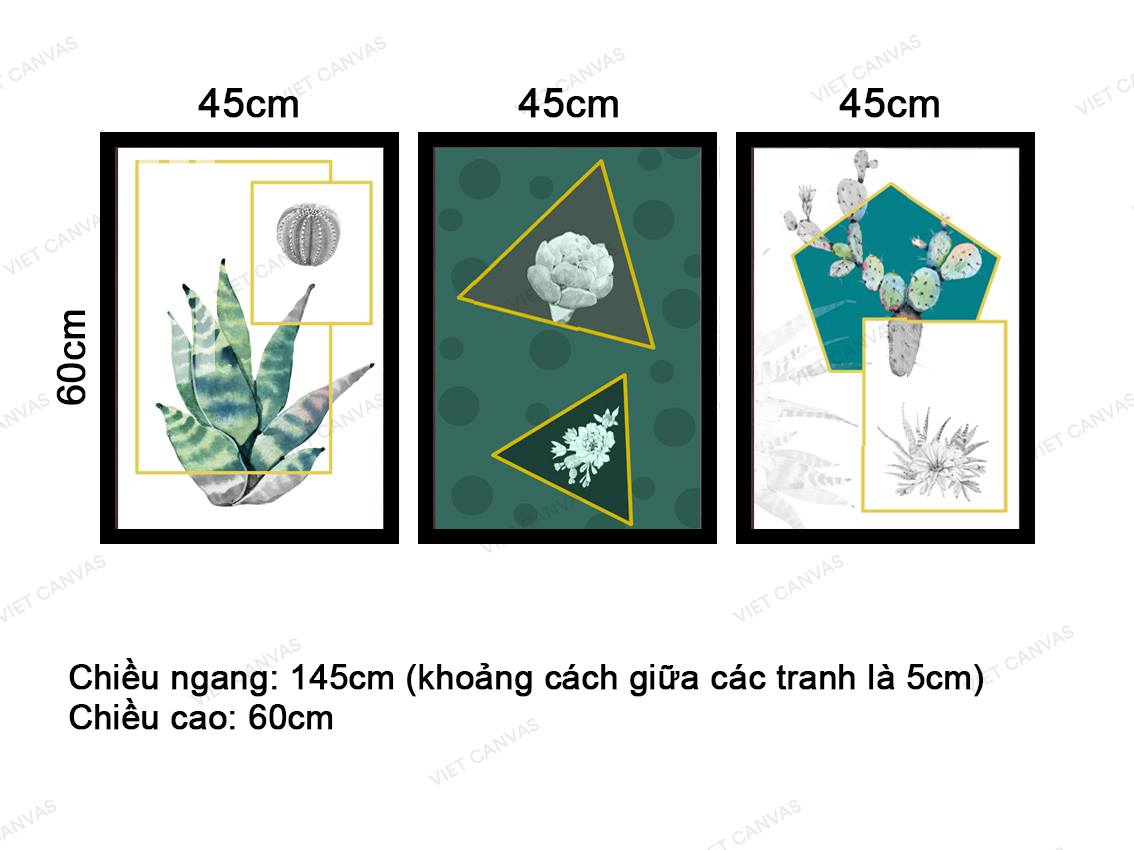 Bộ 3 Tranh Xương Rồng Và Sen Đá - VZ924