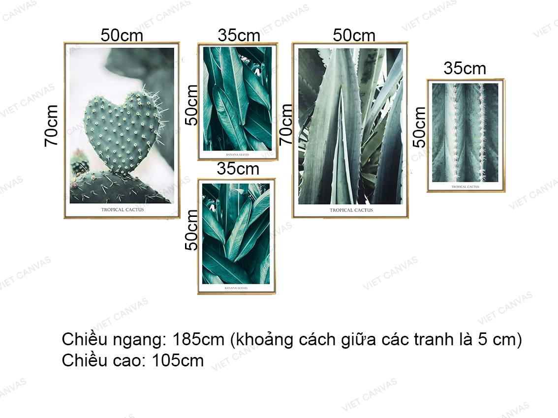 Bộ 5 Tranh Xương Rồng Nhiệt Đới - VZ208.1