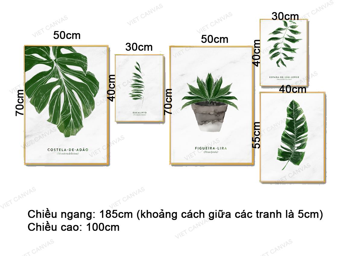 Bộ 5 Tranh Lá Cây Xanh - VZ066.1