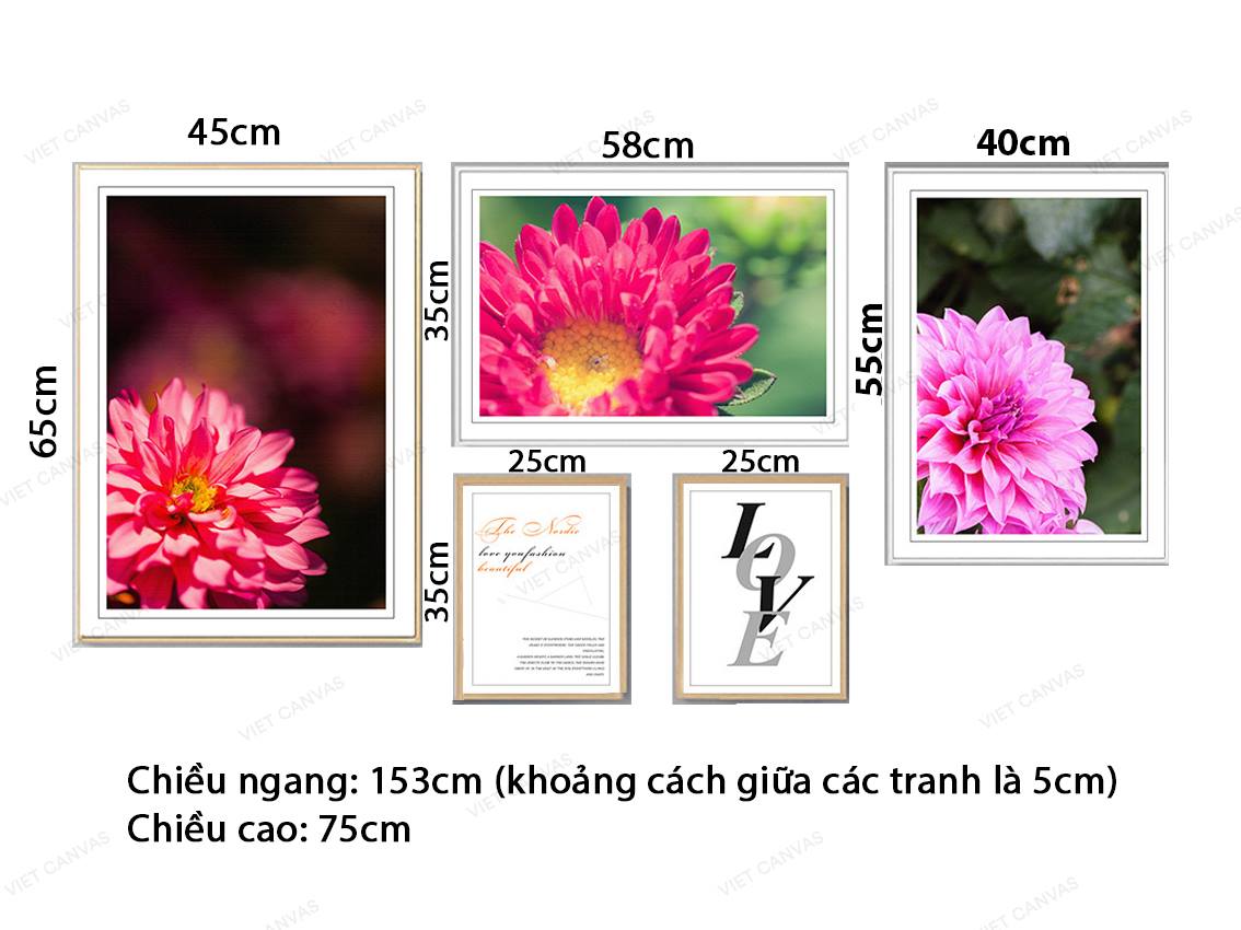 Bộ 5 Tranh Sự Rực Rỡ Những Đóa Hoa Và Quotes - VZ580