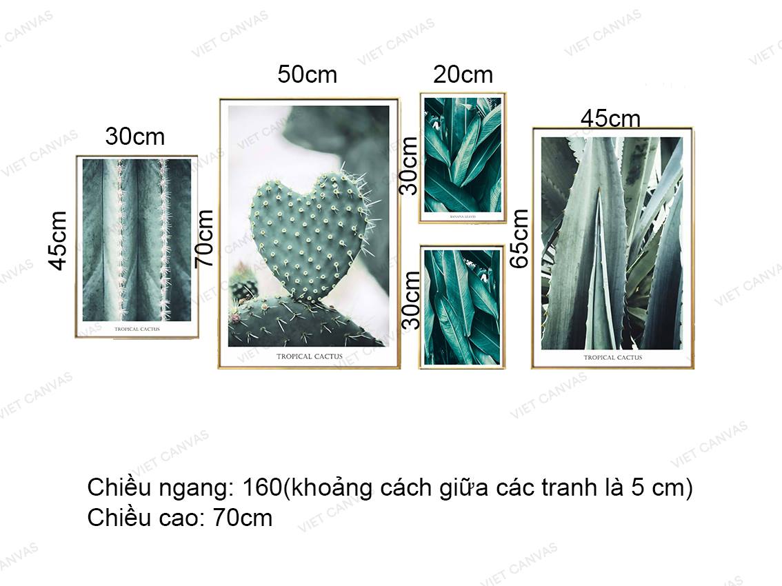 Bộ 5 Tranh Vẻ Đẹp Tươi Mát Của Xương Rồng - VZ208.2