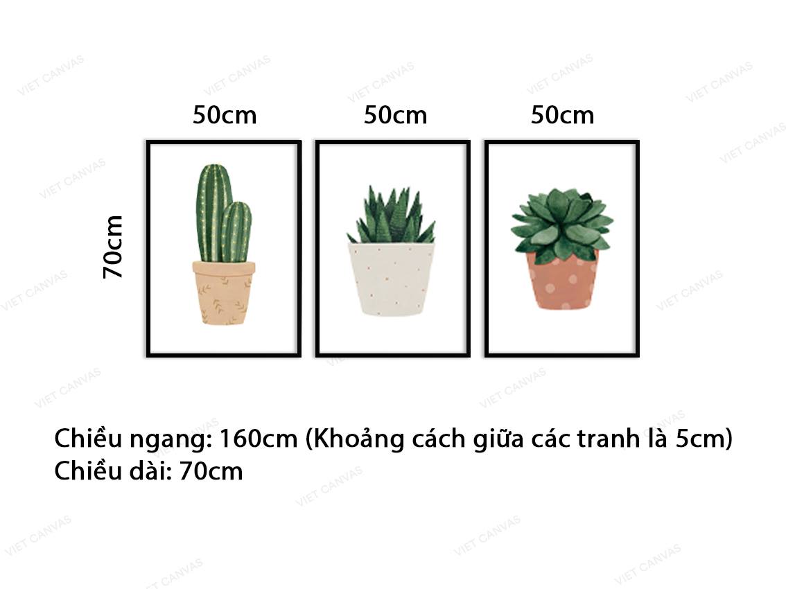 Bộ 3 Tranh Xương Rồng Và Sen Đá - VZ050.3