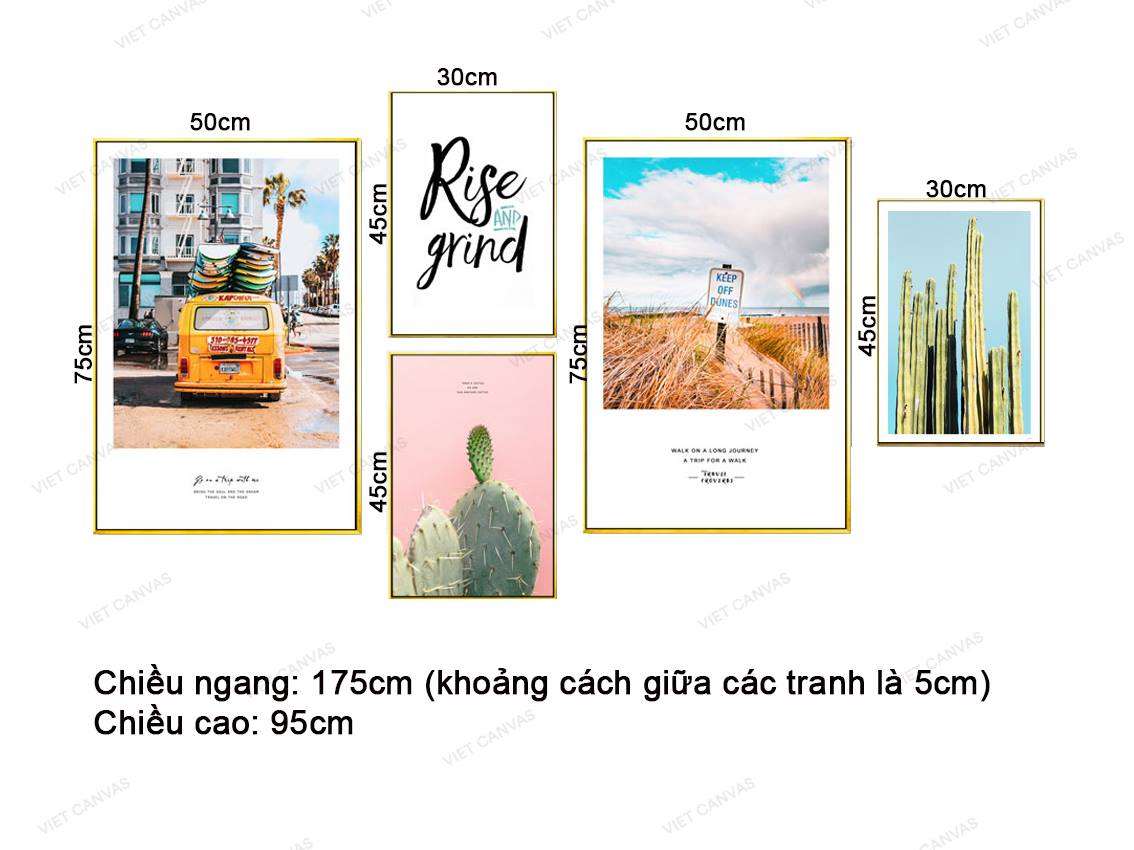 Bộ 5 Tranh Xe, Xương Rồng, Quotes Và Đồng Cỏ - VZ074.1
