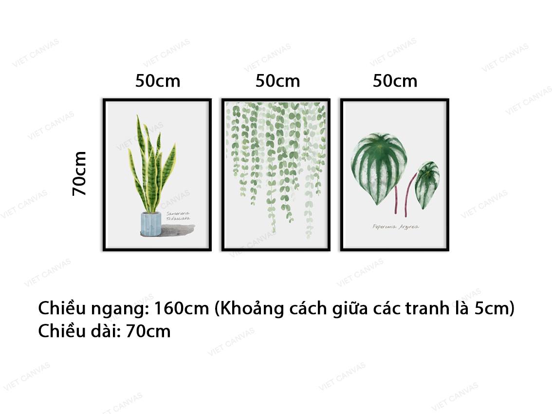 Bộ 3 Tranh Cây Và Lá Xanh - VZ054.2