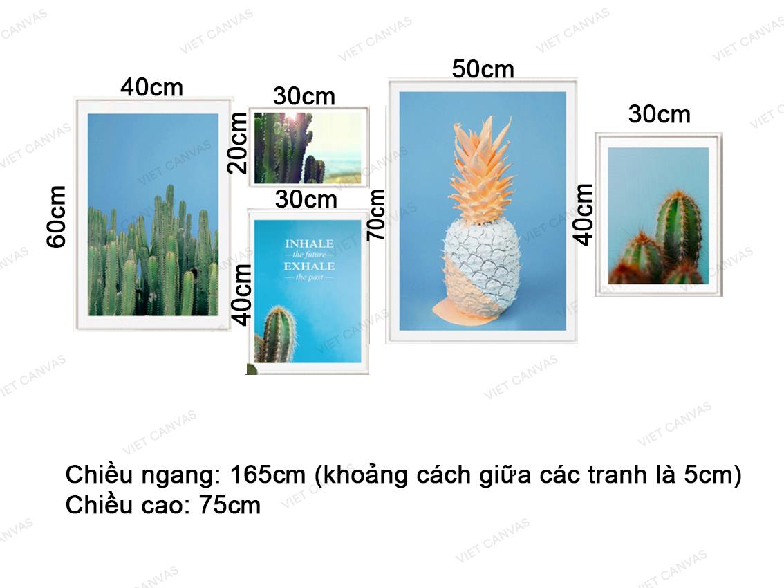 Bộ 5 Tranh Dứa Và Xương Rồng - VZ009.1