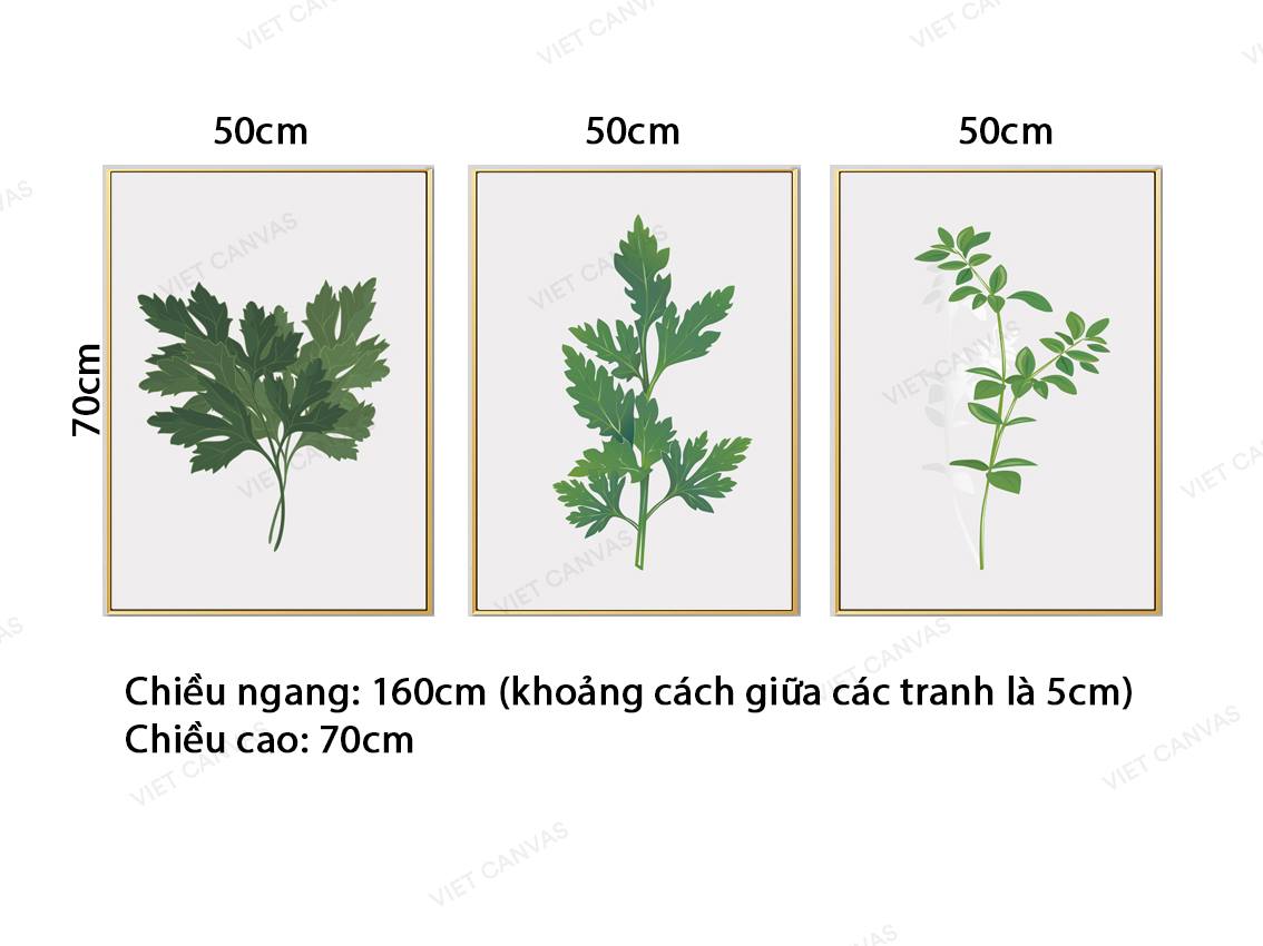 Bộ 3 Tranh Những Mẫu Cây Xanh - VZ783