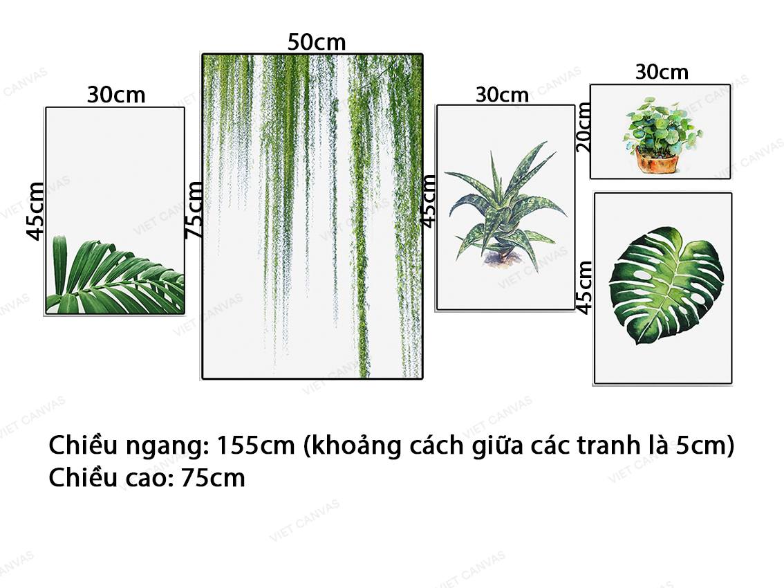 Bộ 5 Tranh Lá Cây Tươi Mát - VZ206.2