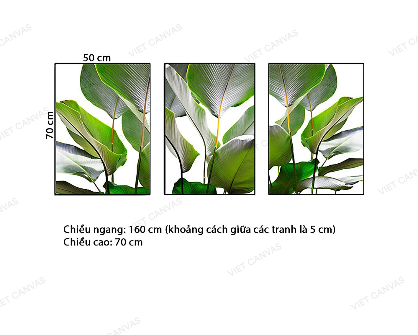 Bộ 3 Tranh Khóm Lá Xanh Ngát - VZ611.1