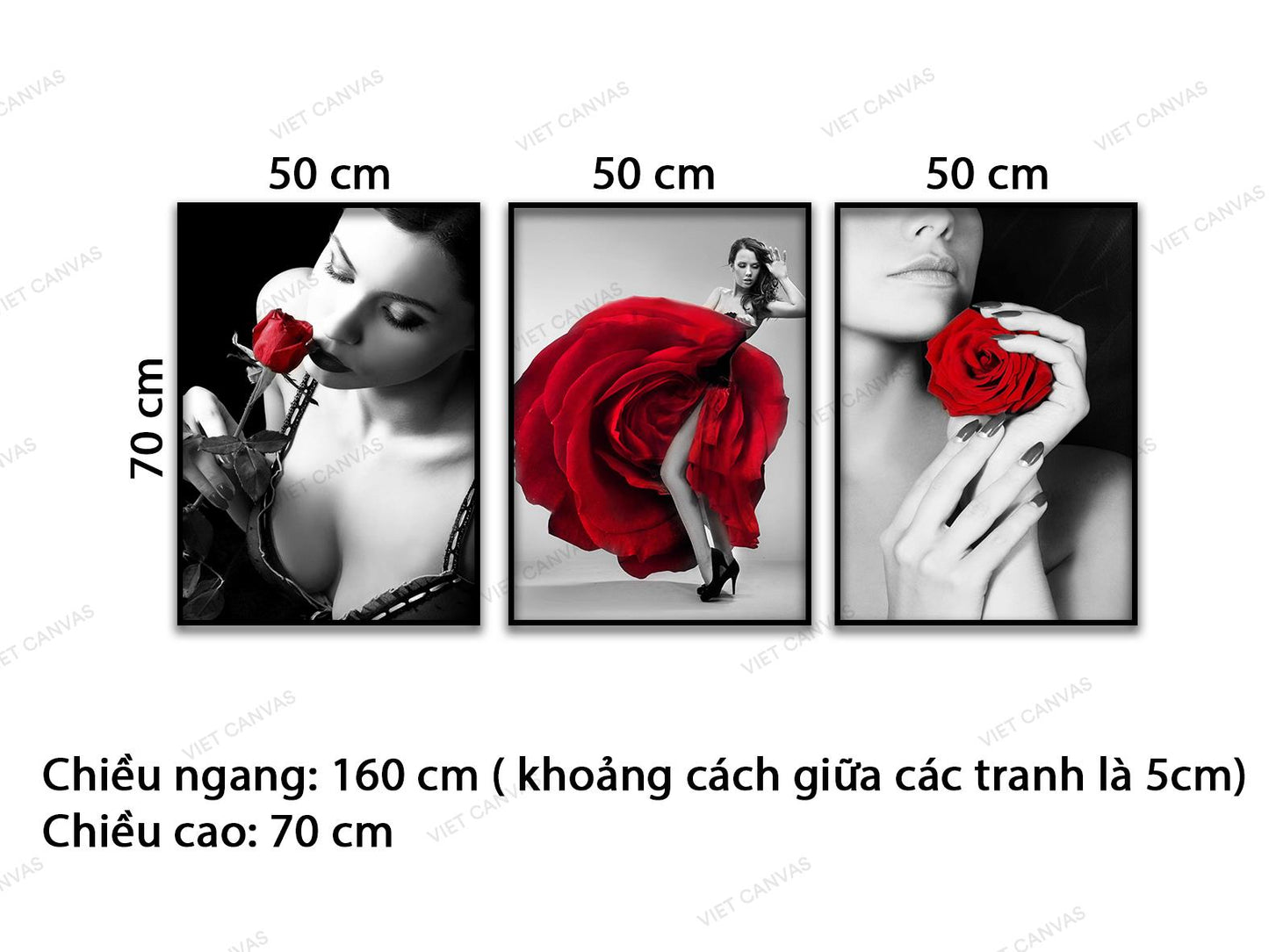 Bộ 3 Tranh Cô Nàng Quyến Rủ Bên Bông Hồng - VD131