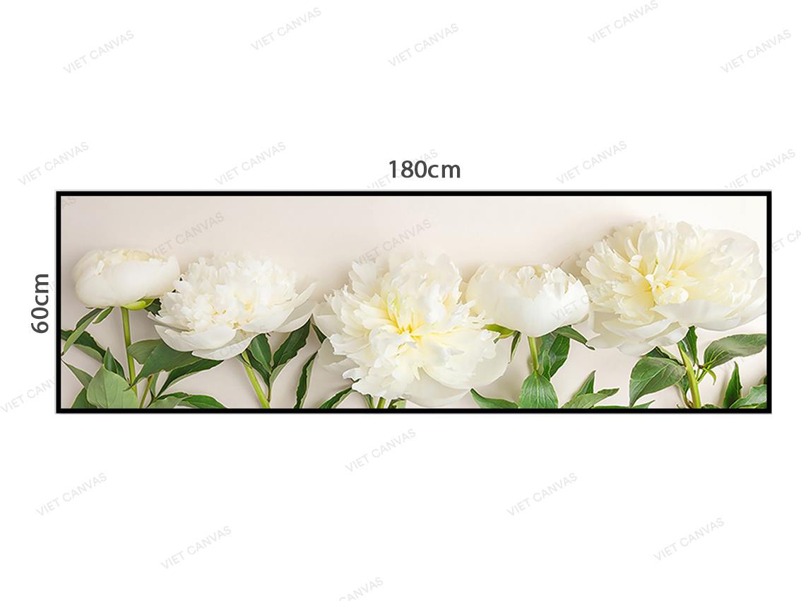 Những Đóa Hoa Trắng Ngần - VZ797