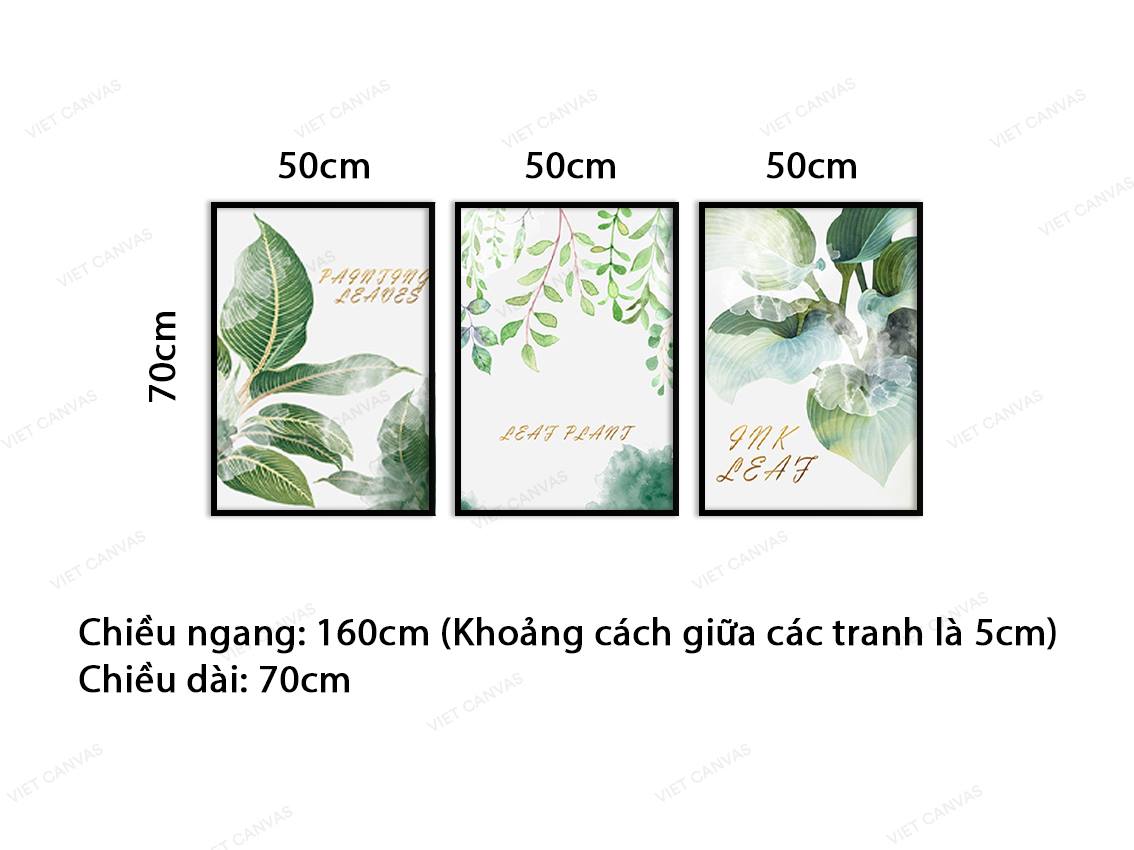 Bộ 3 Tranh Lá Cây Xanh - VY035.1