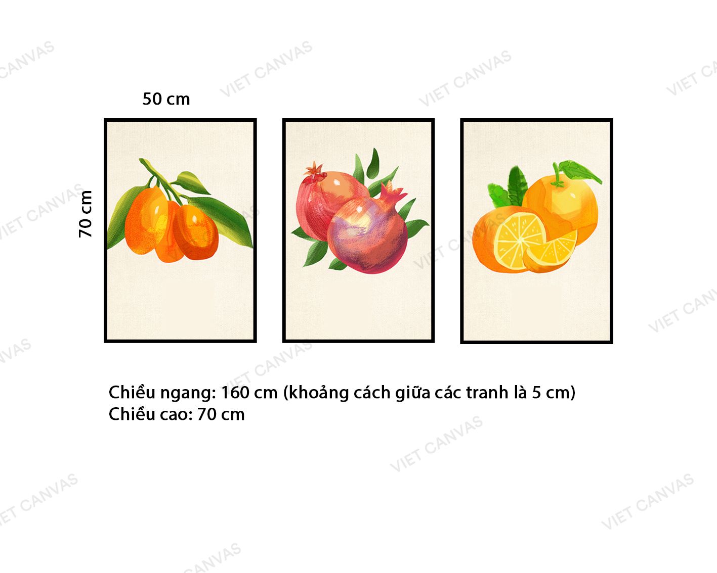 Bộ 3 Tranh Trái Cây - VZ161