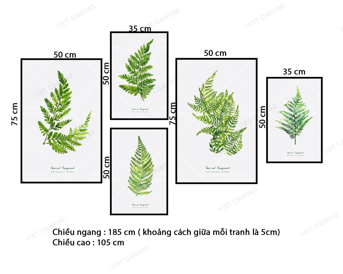 Bộ 5 Tranh Lá Cây - VZ885