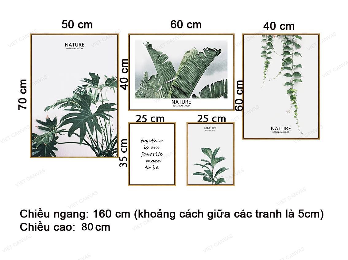 Bộ 5 Tranh Lá Cây Tươi Mát - VZ033