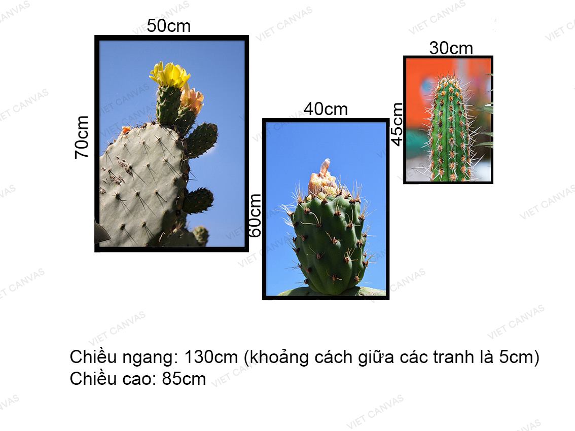 Bộ 3 Tranh Xương Rồng Trên Sa Mạc - VZ217.2