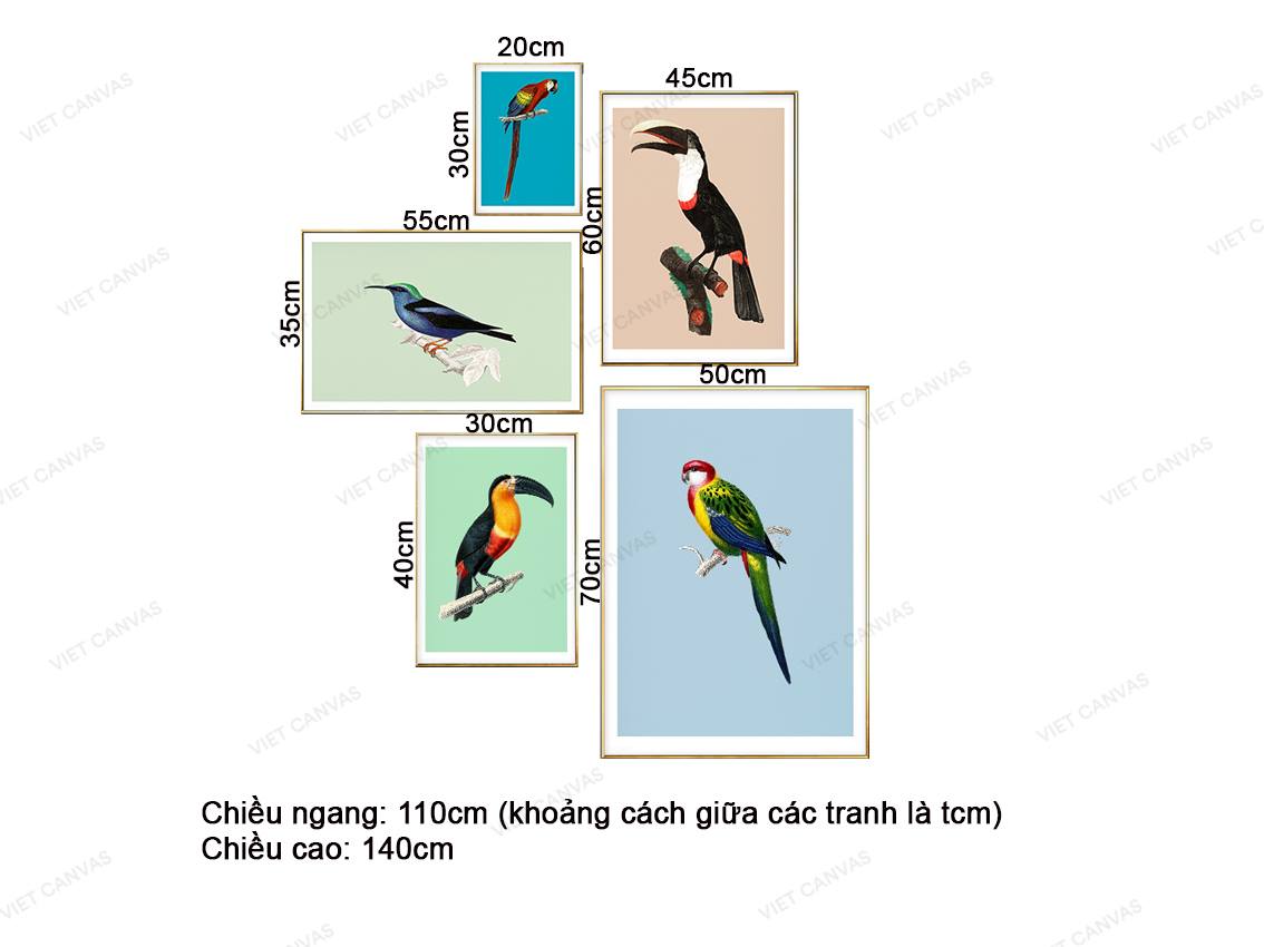 Bộ 5 Tranh Các Loài Chim - VZ048.2