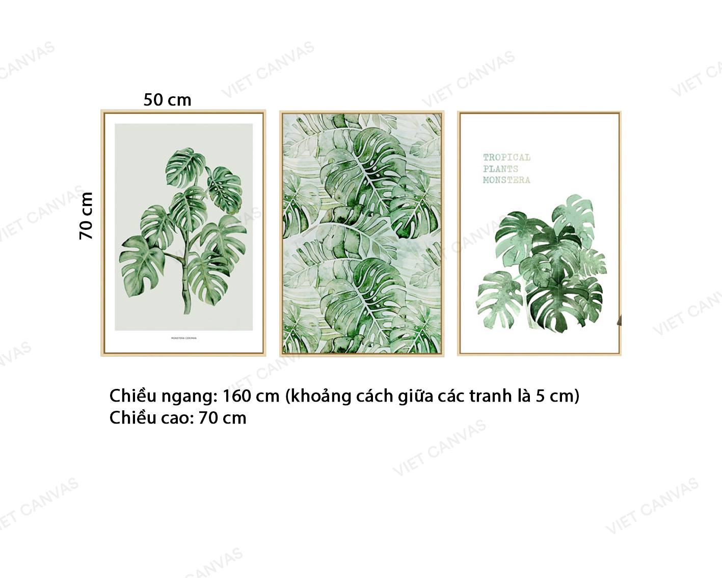 Bộ 3 Tranh Lá Cây Tươi Mát - VZ874.3