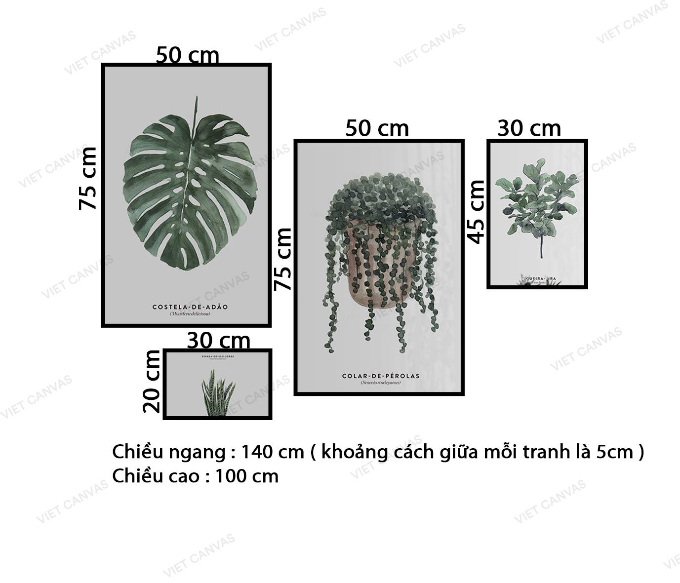 Bộ 4 Tranh Lá Cây Tươi Mát - VZ204.2
