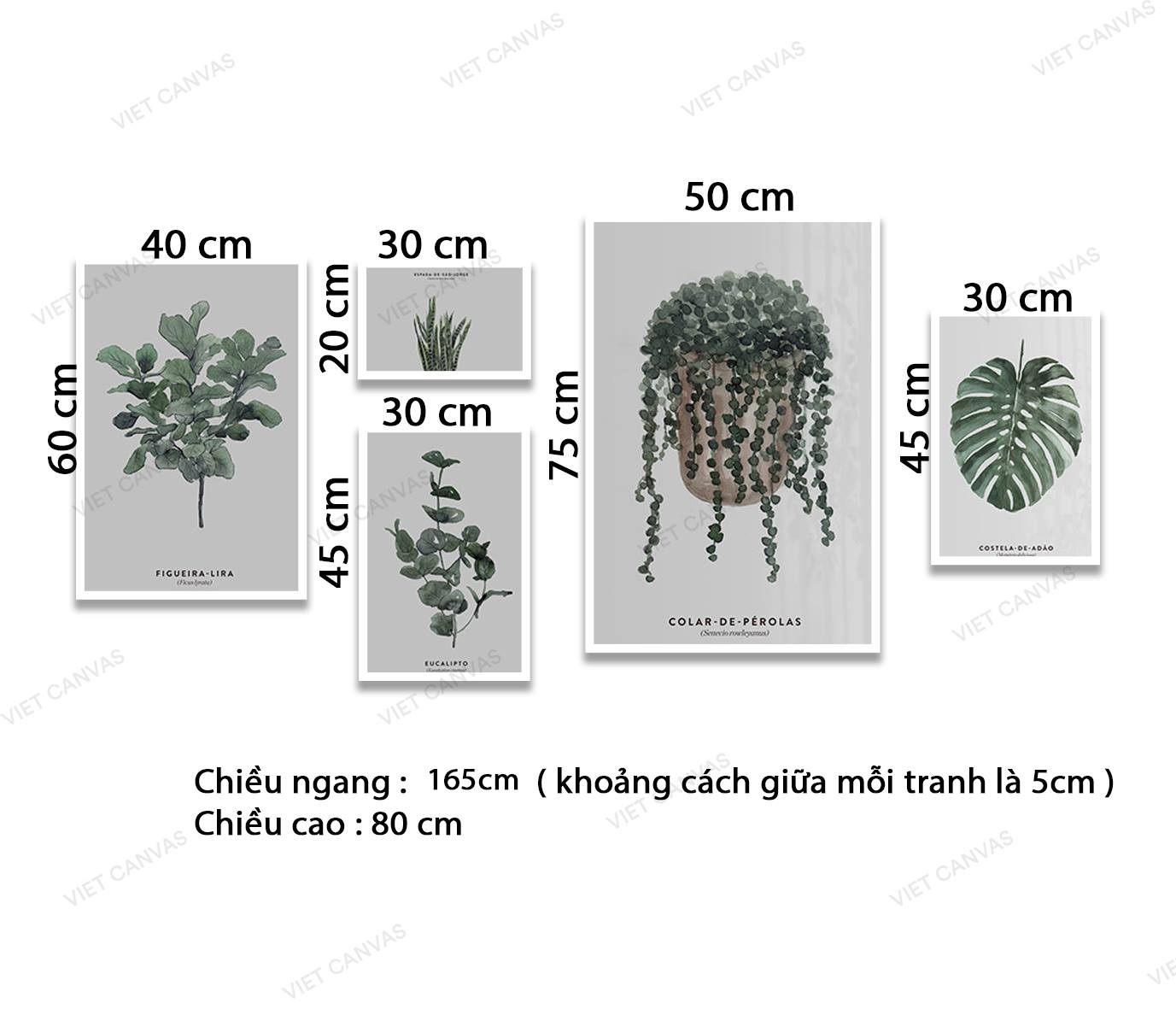 Bộ 5 Tranh Màu Xanh Của Lá Cây - VZ204.1