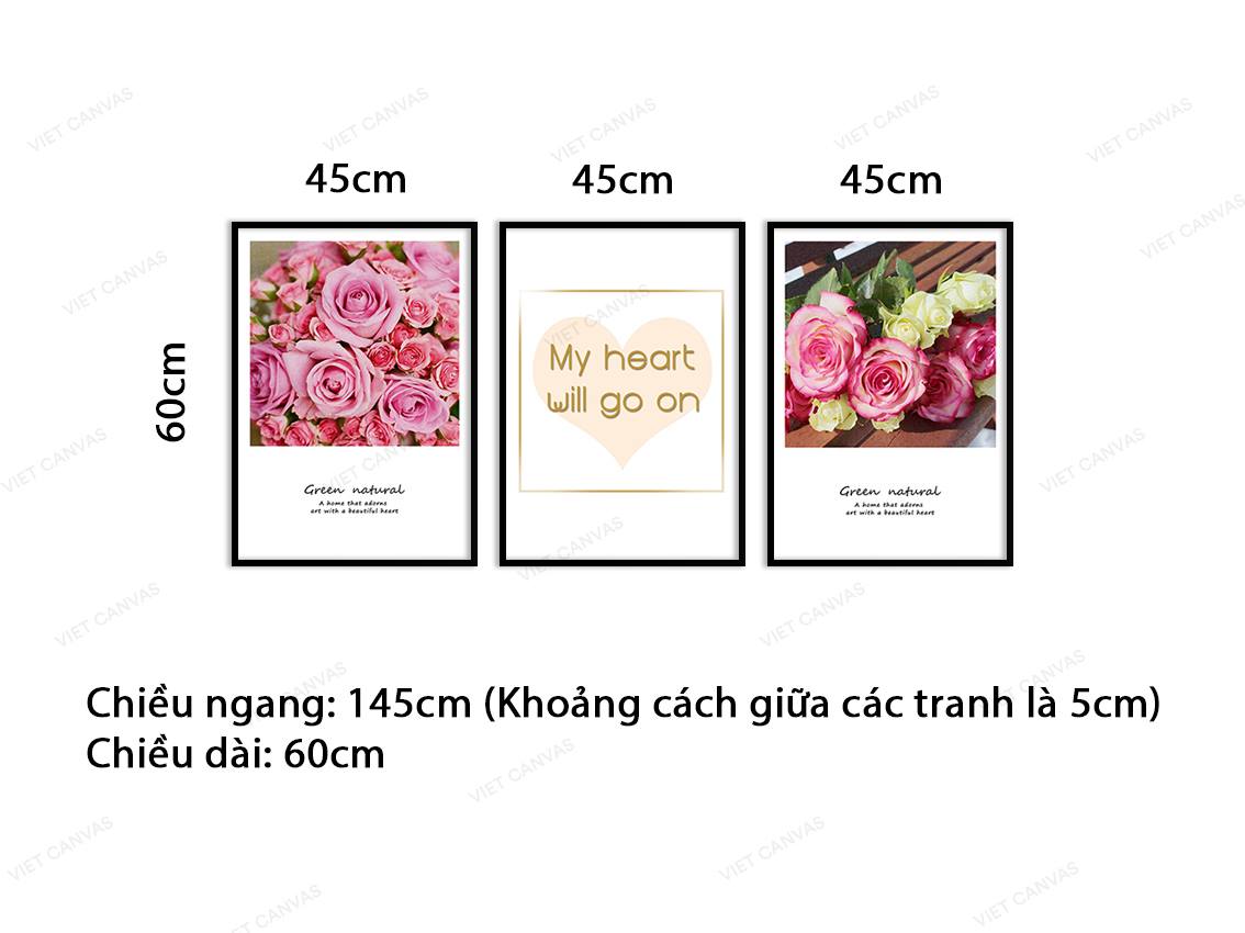 Bộ 3 Tranh Hoa Hồng Và Quotes - VY031.1