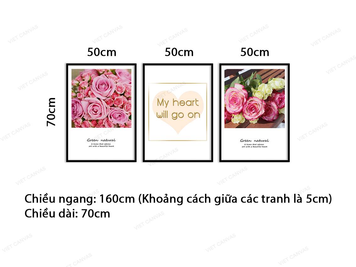 Bộ 3 Tranh Hoa Hồng Và Quotes - VY031.1
