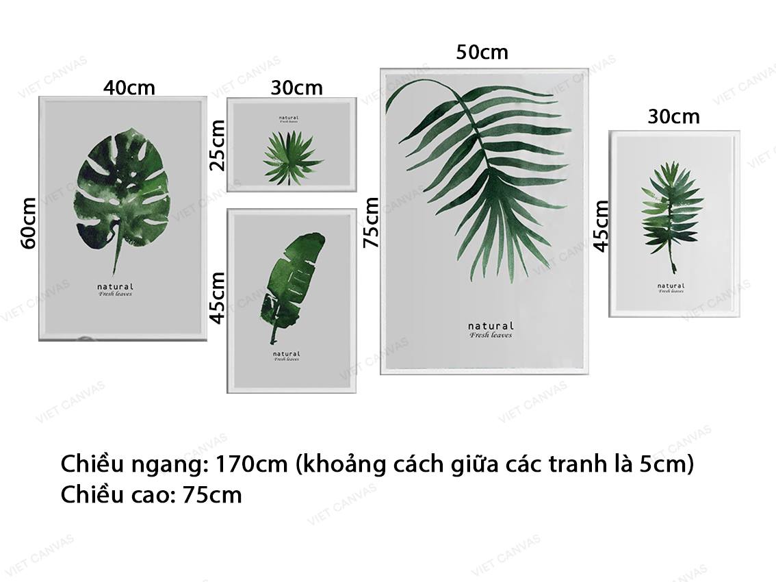 Bộ 5 Tranh Lá Cây Xanh - VZ205.1