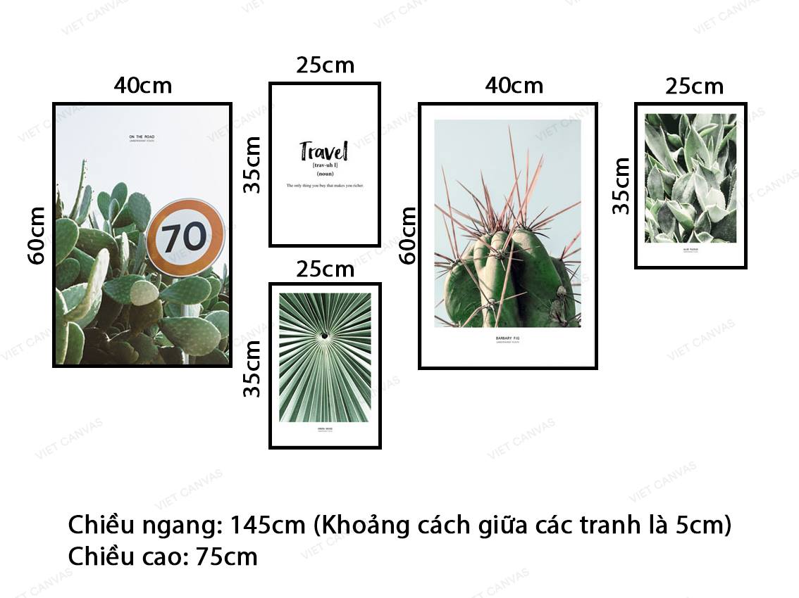 Bộ 5 Tranh Xương Rồng, Cây Cọ, Sen Đá Và Quotes - VY047.1